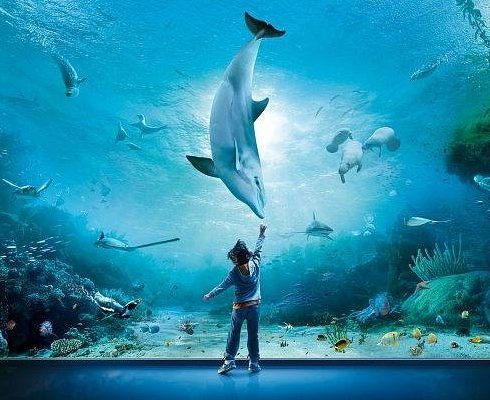 Acquario di Genova novità 2024
