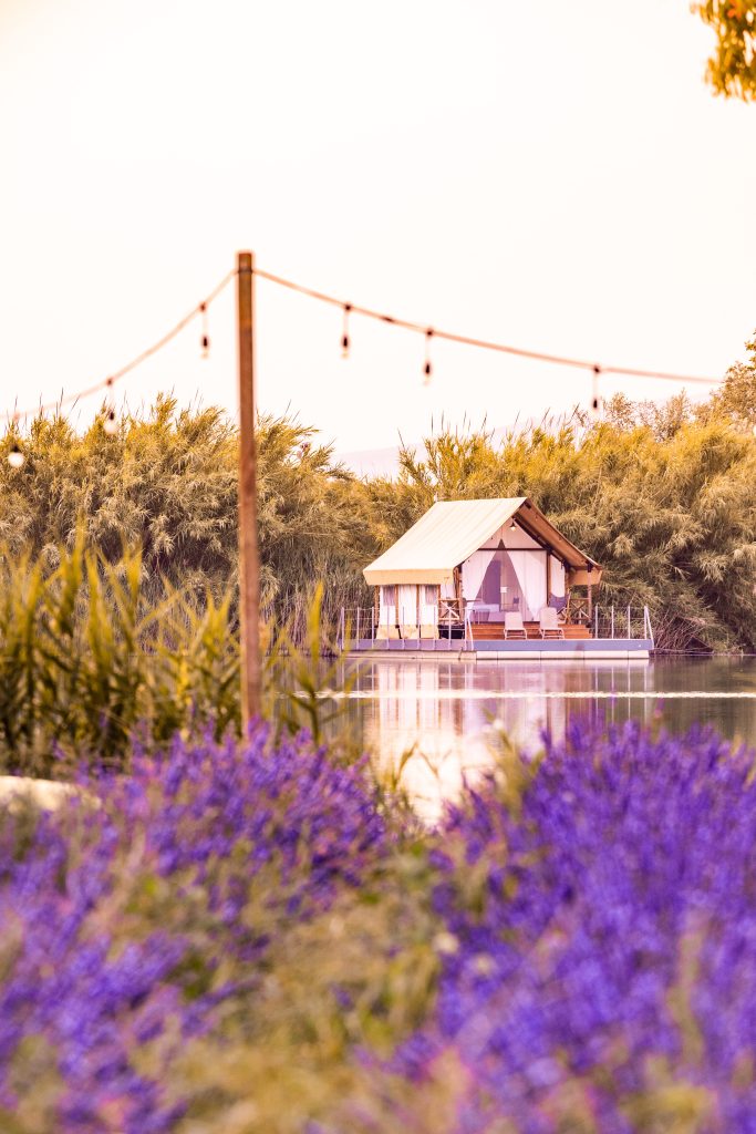 Fashion Life Web lavanda