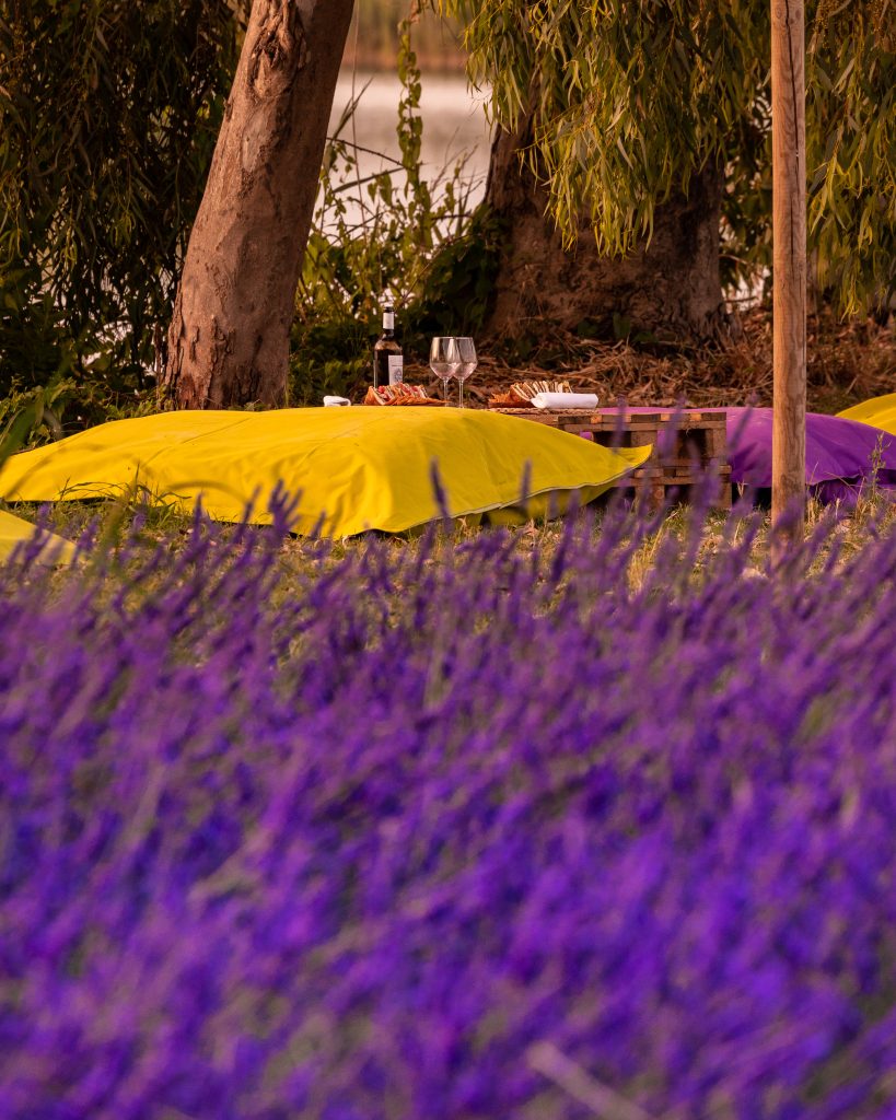 Fashion Life Web lavanda