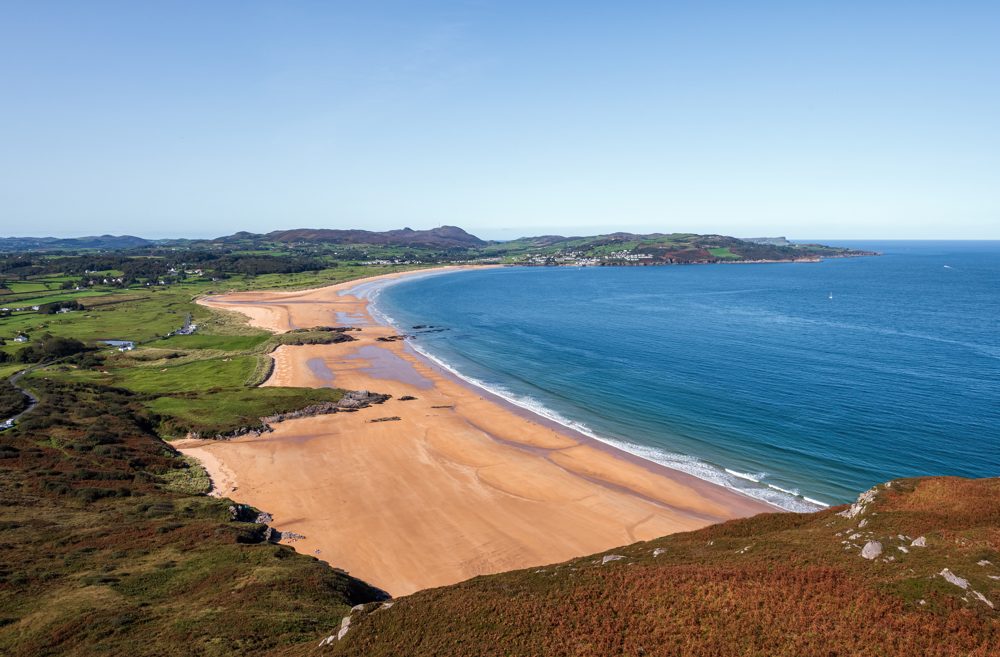 Fashion Life Web Taylor Swift