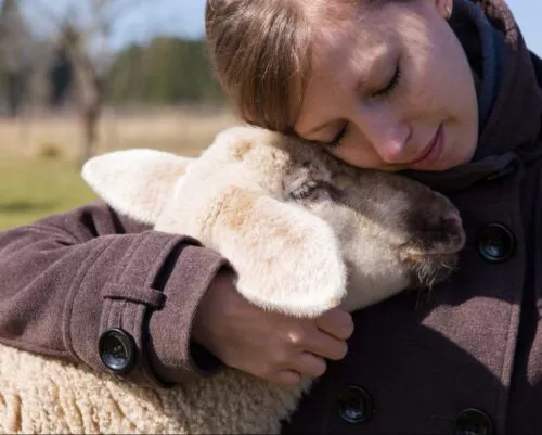 Fashion Life Web Animal Equality