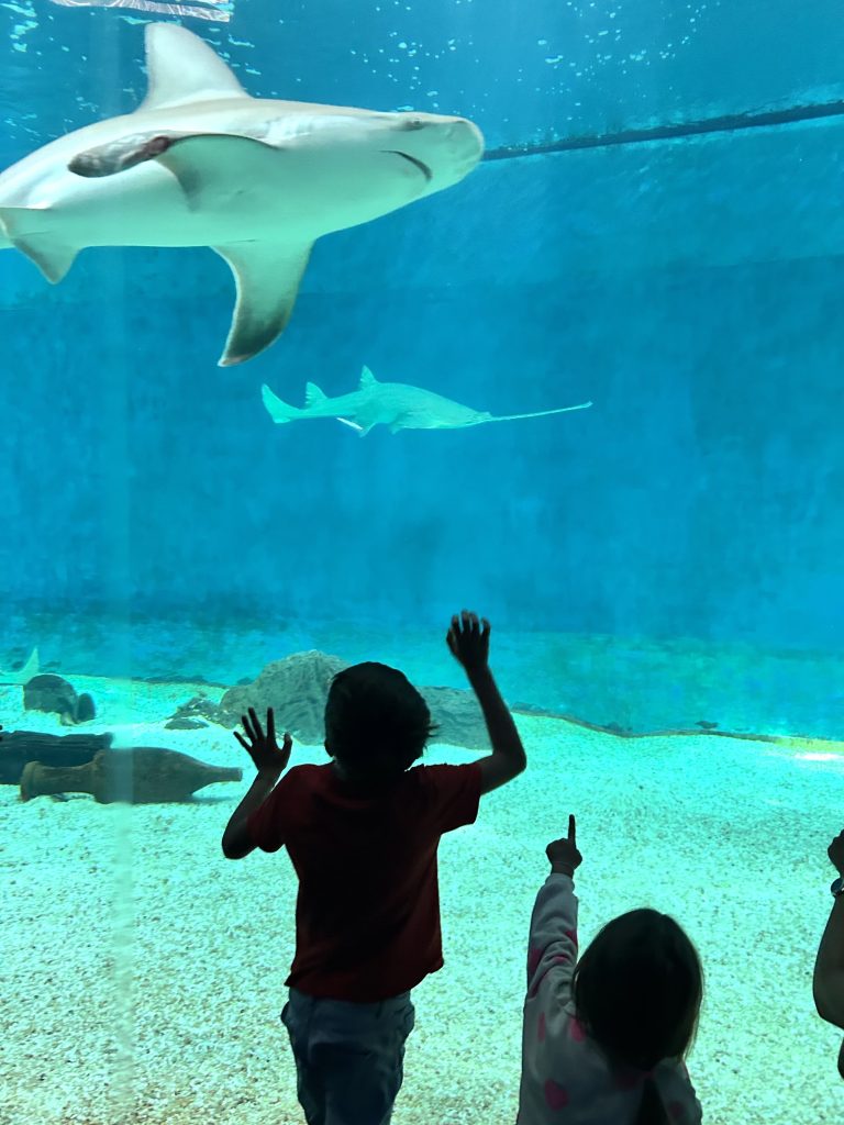 Acquario di Genova ph press