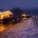 Rotweinwanderung Freinsheim ph Press