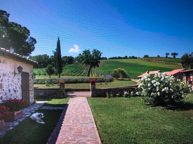 Tenuta riserva Carpineto ph Press