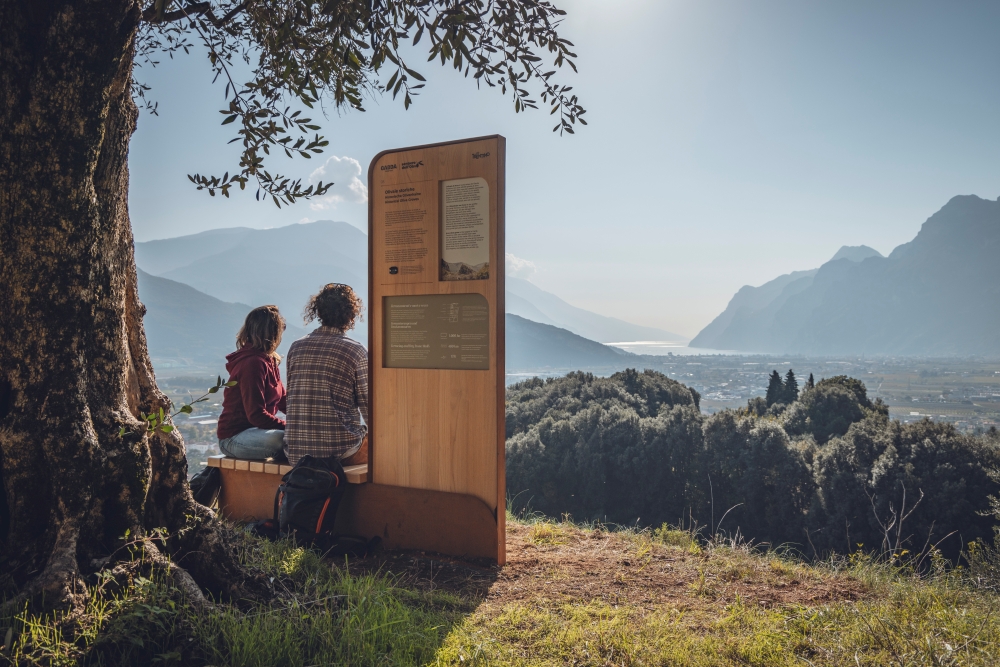 Trekking_Arco_Sentiero Olivo ph press