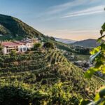 Col Vetoraz Spumanti Spa ph web