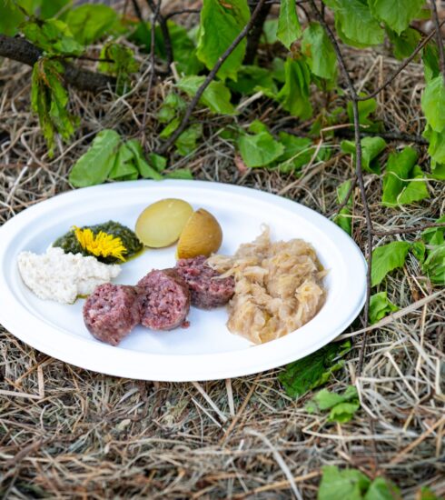 Carnia friulana ph press