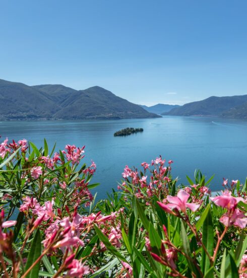 Primavera tra i laghi: Ronco Sopra Ascona_ph Alessio Pizzicannella