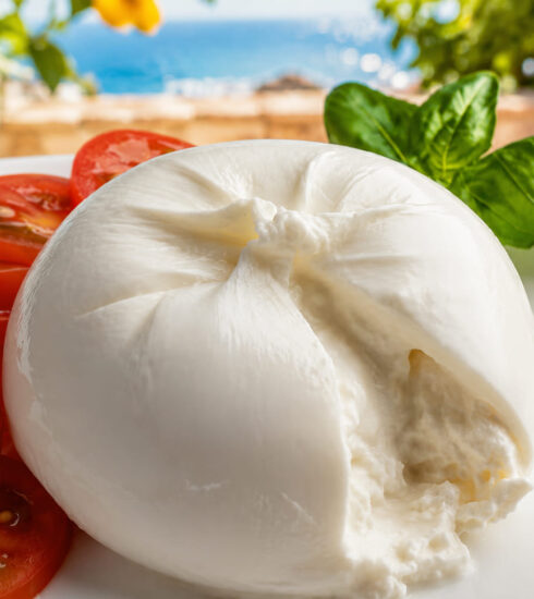 Mozzarella di bufala ph fp