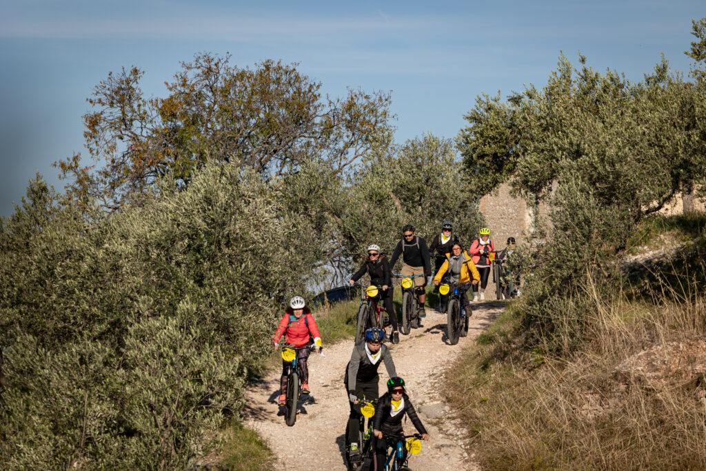 Frantoi Aperti 2026 Umbria ph Press