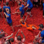 Tomatina 2026 ph X