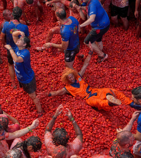 Tomatina 2026 ph X