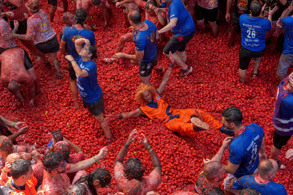 Tomatina 2026 ph X