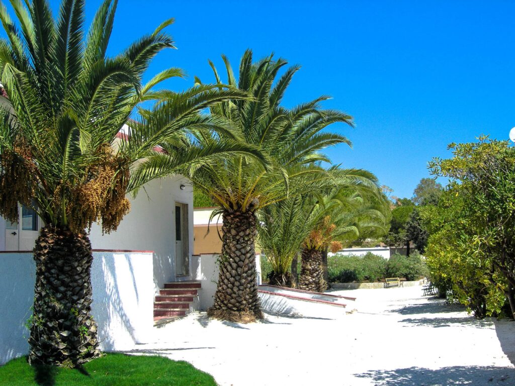 Villaggio Tiziana ph Press