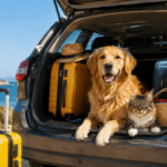 italia pet travel ph ai