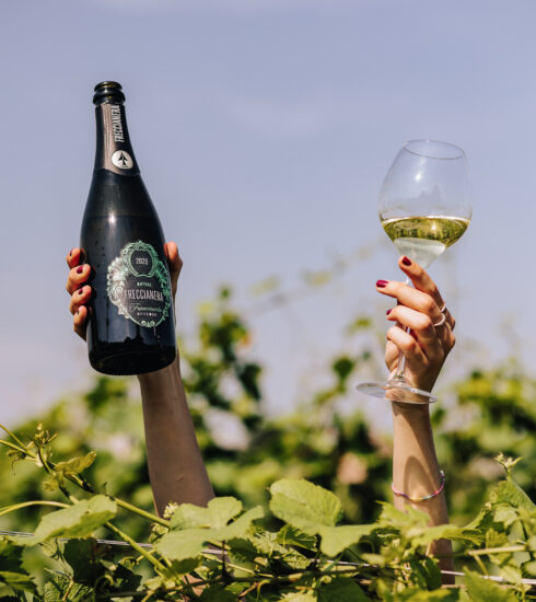 Franciacorta ©hand freccianera