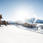 ADLER Alpe ph Press