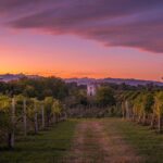 Alto Piemonte ph Press