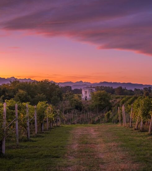 Alto Piemonte ph Press