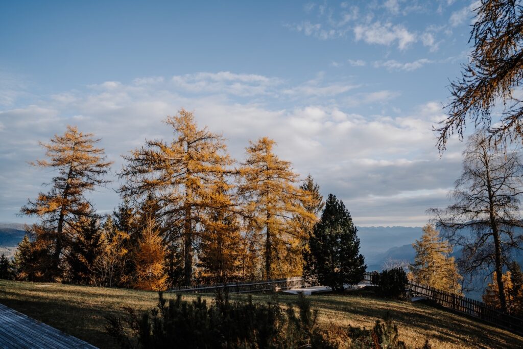 Franziska Unterholzner - vigilius mountain resort
