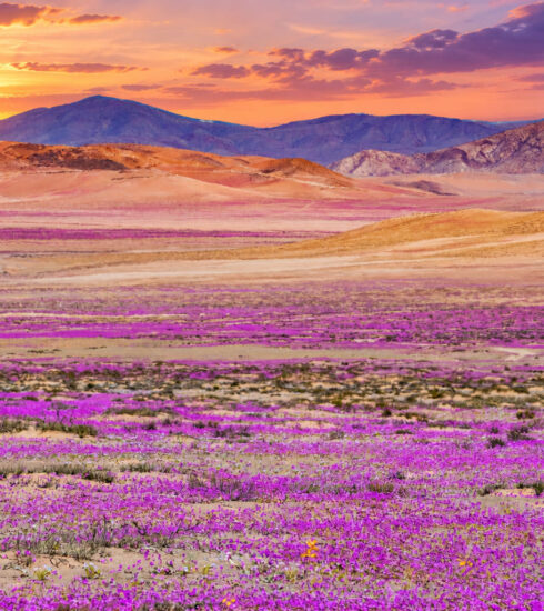 deserto atacama ph web