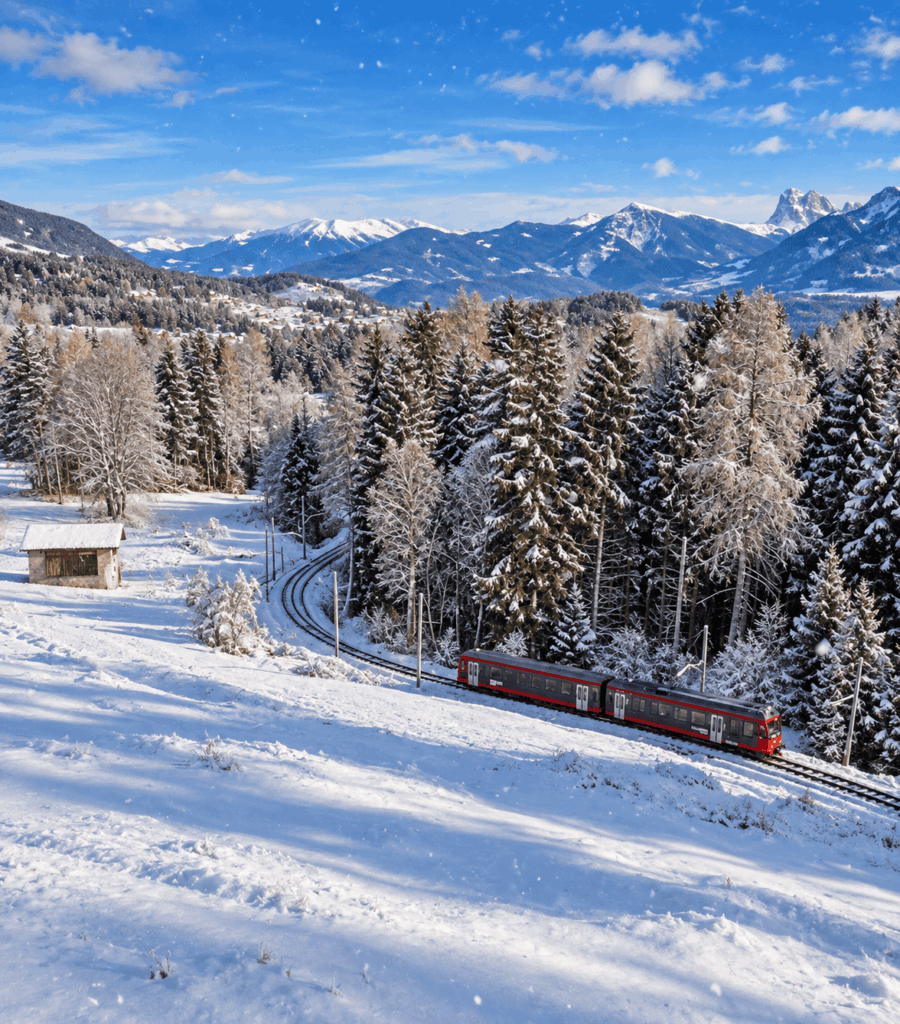 mercatini di Natale treni storici ph ai